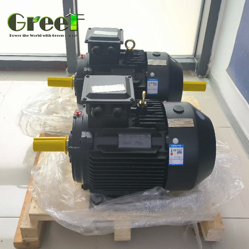 Μεγάλη ροπή IP54 50Hz Μόνιμος μαγνητικός κινητήρας για αντλίες νερού 3 φάσεων