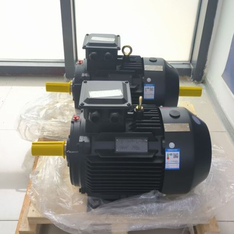 750W-5MW ονομαστική ισχύς Μόνιμος μαγνητικός κινητήρας με ροπή 0,5 Nm - 20 Nm και απόδοση > 95% για βιομηχανική αυτοματοποίηση