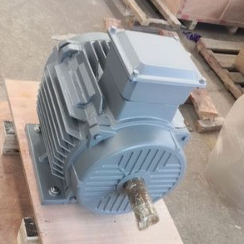 24V-1140V Μηχανοκίνητος μόνιμου μαγνήτη χωρίς βούρτσα προσφέροντας IP54 βαθμό ταξινόμηση βελτιστοποιημένη για μηχανήματα αυτοματισμού και ενεργειακές λύσεις